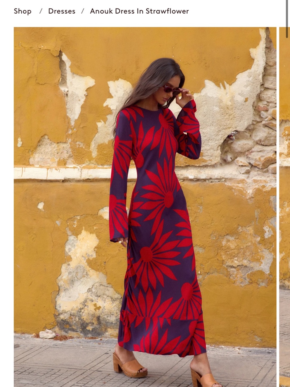 Mister Zimi Red Floral Maxi Dress with Navy Base